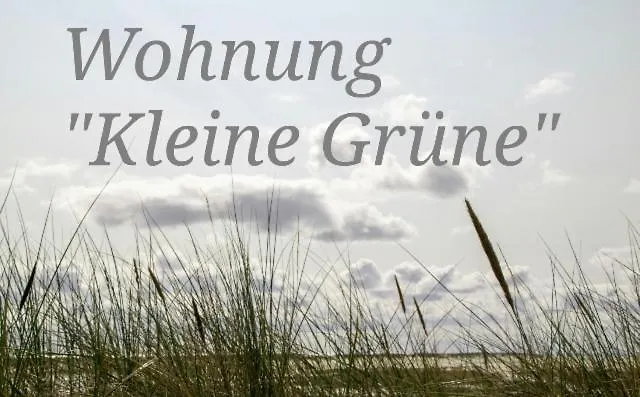 Haus Ohne Namen Juist