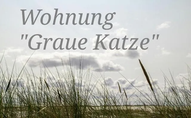 Haus Ohne Namen * Juist