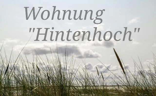 Appartement Haus Ohne Namen Juist